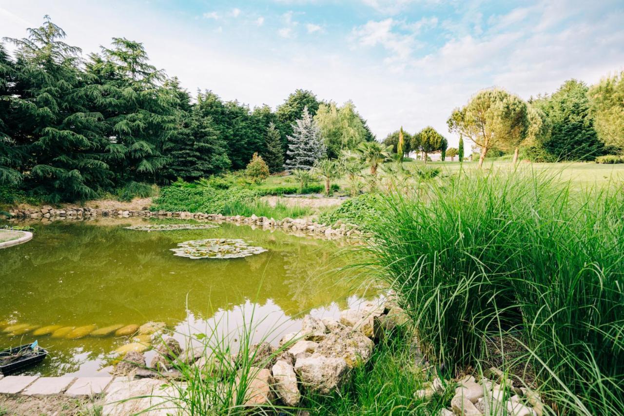 Villa Montana ヘラールツベルヘン エクステリア 写真