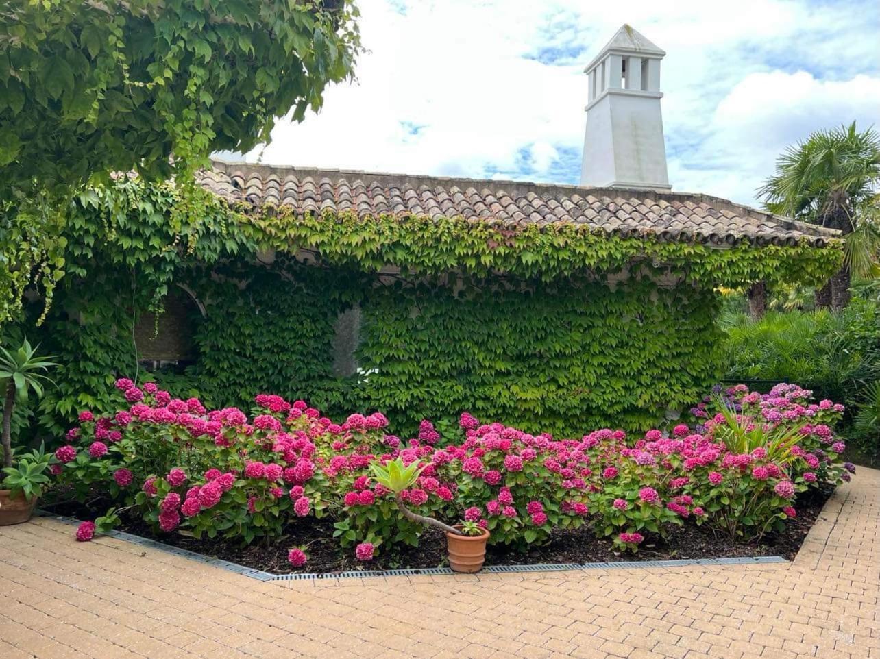 Villa Montana ヘラールツベルヘン エクステリア 写真